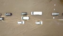 NICB Flooded Vehicles ENG :30