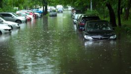 NICB Flooded Vehicles ENG :15