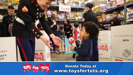 Laster Donate Office 30 PSA