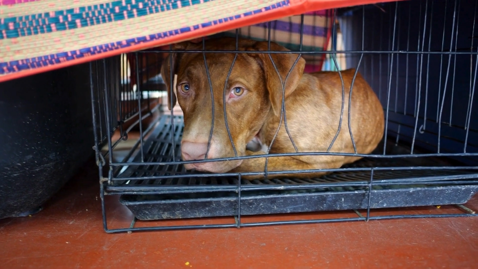 K2C_PSA_30_1_CAPTIONS