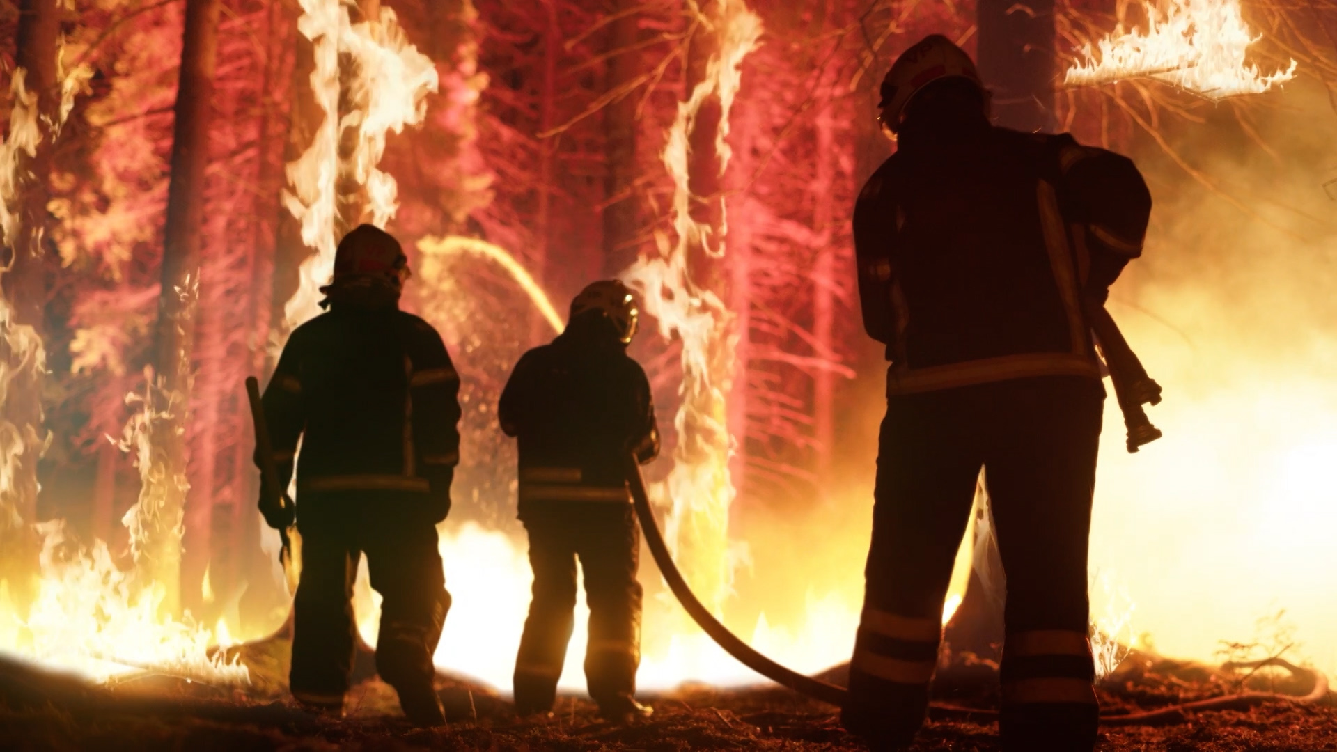 NICB Wildfires ENG :30