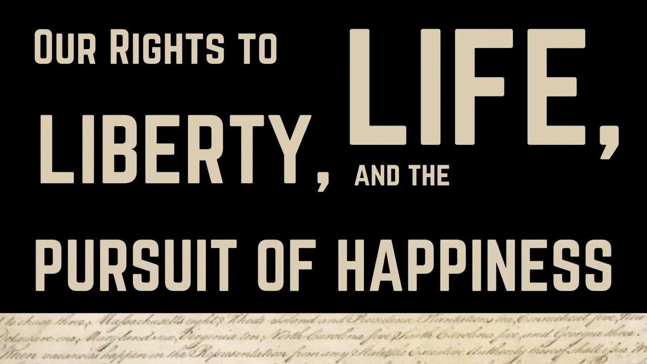 Shaynlin Constitution PSA :30